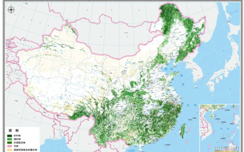 我国有几个森林消防总队？