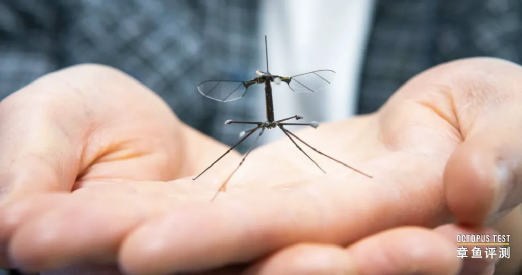 哈佛RoboBee微型机器人利用蚊子腿部结构实现安全着陆