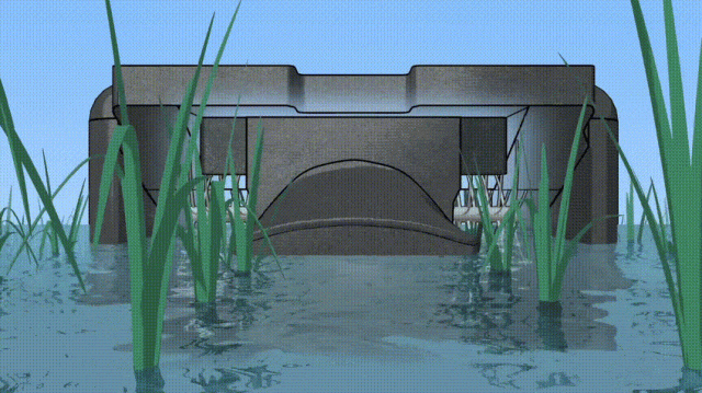 日本开发鸭子机器人，为生态稻田智能除草，供不应求