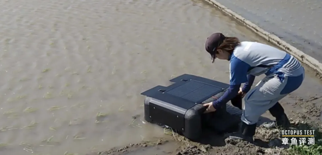 日本开发鸭子机器人，为生态稻田智能除草，供不应求