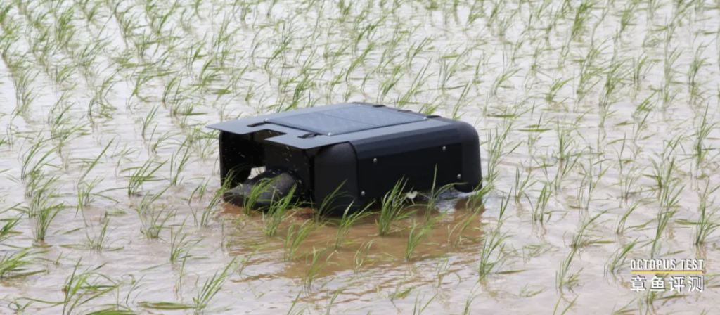 日本开发鸭子机器人，为生态稻田智能除草，供不应求