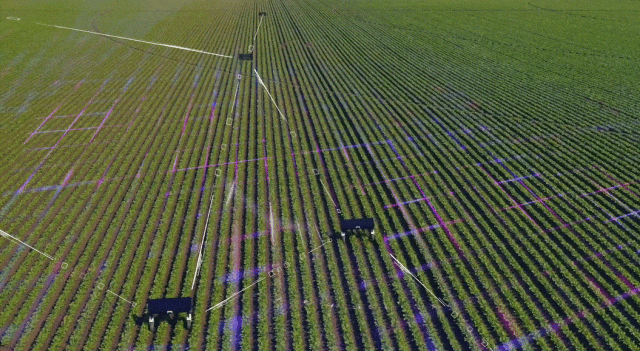 AI和农机结合，这样一台AI除草机器人5万美金贵吗？