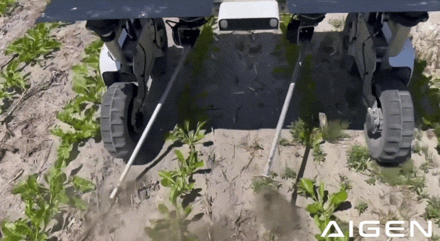 AI和农机结合，这样一台AI除草机器人5万美金贵吗？