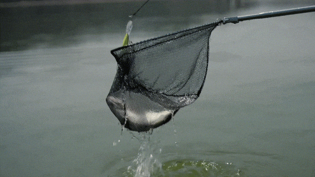 这还是民用AR眼镜吗？军用热成像和声纳探测都配上了。