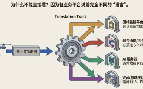 一路无人机视频，如何同时服务多个业务系统